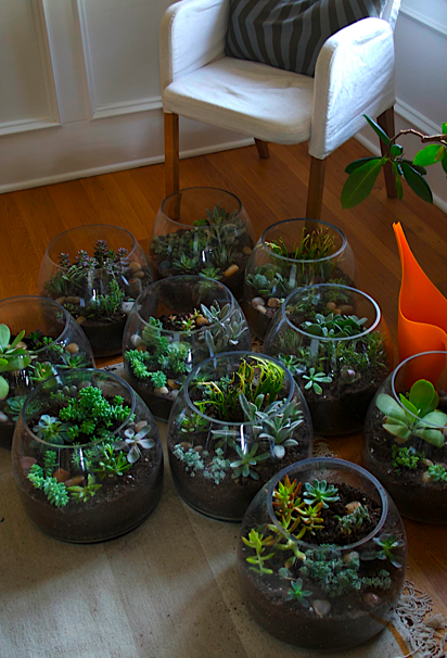 Take a look at the terrariums Lisa recently put together for centerpieces